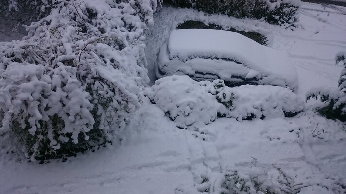 Schnee.JPG