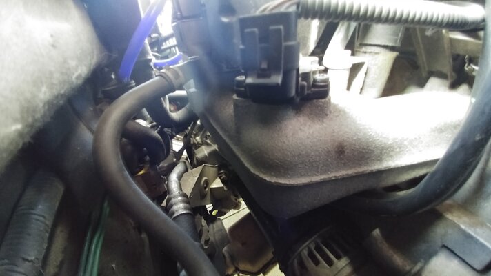 20160626_101750.jpg
