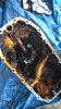 WP_20170225_13_52_33_Pro.jpg