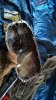 WP_20170225_14_14_32_Pro.jpg