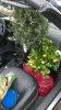 WP_20170304_11_55_23_Pro.jpg