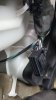 20170519_074744-1494x2656.jpg