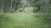 IMG_20170905_122452.jpg