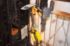 M2005, 5458989.JPG