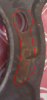 upload_2018-2-5_15-12-8.png