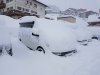 Schnee.jpg