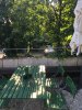 98883E37-7E06-4C54-8E89-BB84A4B743D8.jpeg