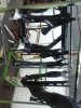 IMG-20160715-WA0000.jpeg