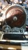 IMG-20190322-WA0003.jpeg