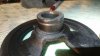 IMG-20190321-WA0007.jpeg