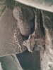 20190526_175254.jpg