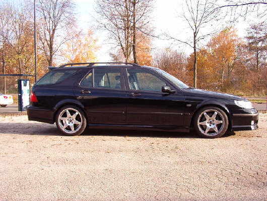 9-5hirsch2.jpg