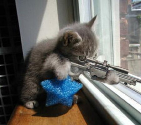 snipercat_110.jpg