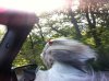 FB_IMG_1583666629822.jpg