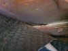 20200816_113122.jpg
