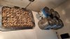 20201129_133355.jpg