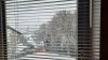 20201201_083636.jpg