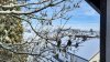 20201211_125933.jpg