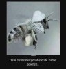 62902A8F-7681-4B3A-B31F-6AC61CCF6601.jpeg