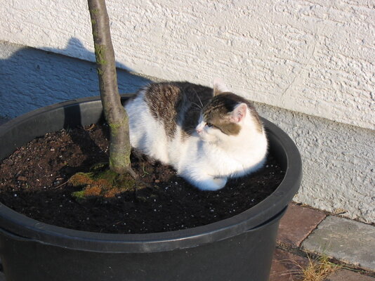 100_0011.JPG