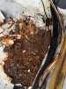 Rost_Fussraum01.jpg