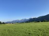 784461EF-9F7E-477C-AADF-369066ACC31D.jpeg