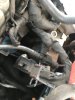 63707ABD-EB97-4D6B-B177-67EDABF080C0.jpeg