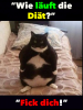 13087386_1194604927251409_7745043215222079371_n.png