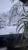 20211209_080614.jpg