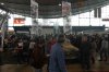 Stand_06.JPG