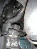 IMG_7529.jpeg