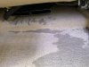 IMG_7707.jpeg