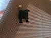 20230818_165207.jpg