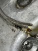 IMG_0197.jpeg