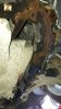 IMG-20230927-WA0003.jpg