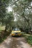 DSCF4340.JPG