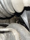 IMG_8111.jpeg