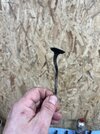 IMG_4317.jpeg