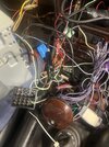 IMG_4389.jpeg