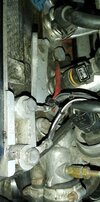 IMG_20200221_155107.jpg