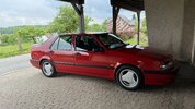 IMG_7779.jpeg