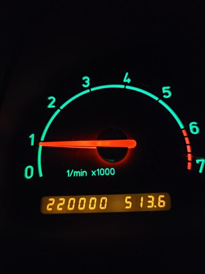 20250117_191356.jpg