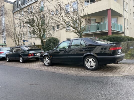 Schwarze Lady 02.jpg