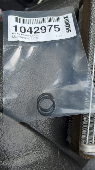 IMG-20250308-WA0010.jpeg