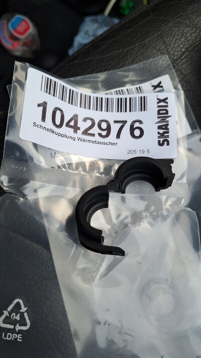 IMG-20250308-WA0012.jpeg