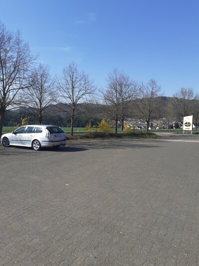 20250403_160117.jpg