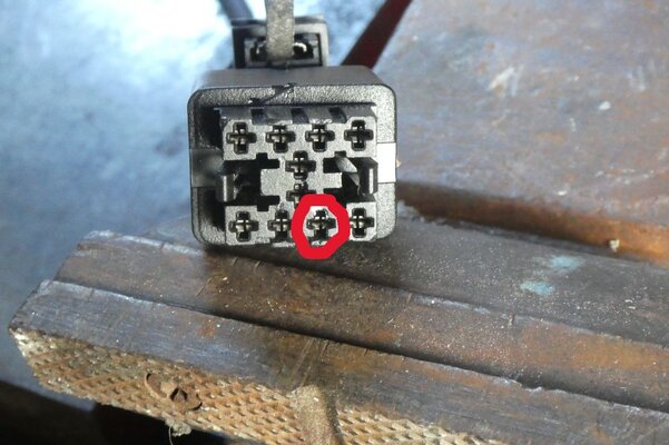 Stecker_Tech2.jpg