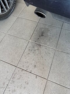 IMG_6169.jpeg