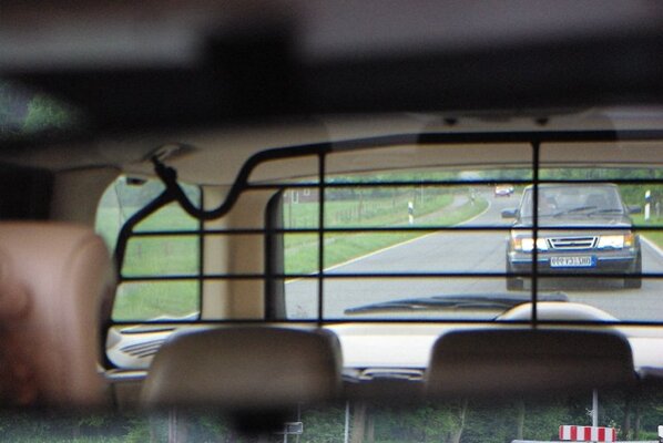 009_hinter_Gitter.jpg