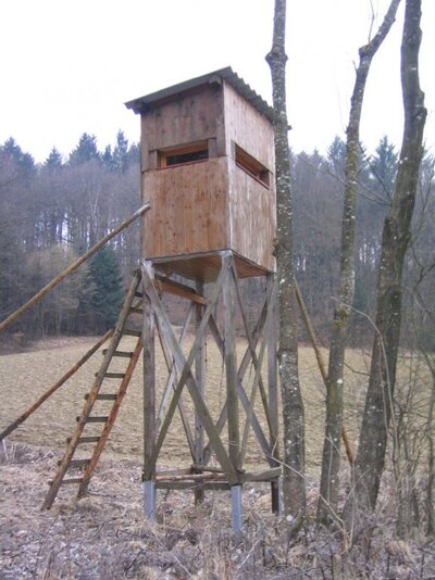 hochsitz.jpg